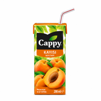 Meyve suyu cappy şeftali ufak